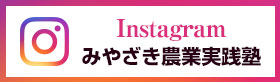 インスタグラム